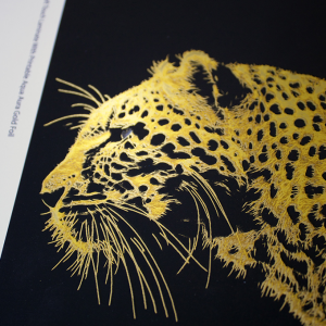 PLASTIFICADORA LAMINADORA MATRIX MX-370